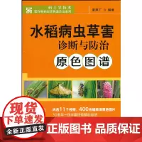 水稻病虫草害诊断与防治原色图谱