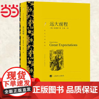 远大前程(译文名著精选,狄更斯作品,又译作孤星血泪) 狄更斯 上海译文出版社 正版书籍