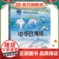 濒危水生动物系列——中华白海豚