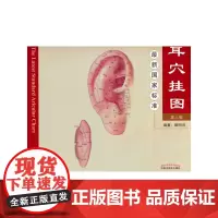 国家标准耳穴挂图(真人版) 中医 中国中医药出版社 正版书籍