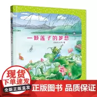 一颗莲子的梦想