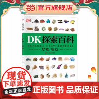 DK探索百科 矿物 岩石