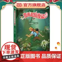 鲁米尼航海记5:决战柿子海岸