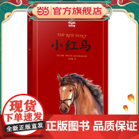 [正版书籍]小红马 夏洛书屋美绘版 约翰斯坦贝克 美国知名插画家绘 儿童故事书 成长小说 少儿读物 儿童文学 精装 