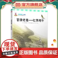 幼儿科学故事绘本.神奇的自然·光和影 冒牌老鹰:红隼老吹(14)