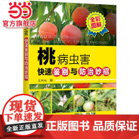 桃病虫害快速鉴别与防治妙招 王天元 化学工业出版社 正版书籍