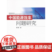 中国能源效率问题研究