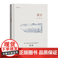 黄沙 张炜 人民文学出版社 正版书籍