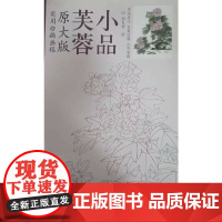 芙蓉小品