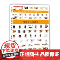 陶秉珍昆虫漫话 科普读物 自然百科