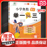 小学奥数举一反三 B版 二年级
