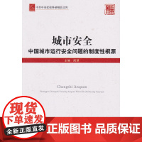 城市安全——中国城市运行安全问题的制度性根源 - 中共中央党校出版社 正版书籍