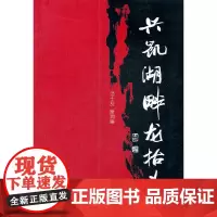 兴凯湖龙抬头(范士友新闻集)