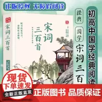 宋词三百首精选版原文译析初中生高中生国学经典小说书籍经典历史故事名人传