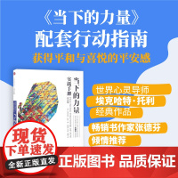 当下的力量实践手册(白金版)《当下的力量》实修指南 张德芬 埃克哈特·托利经典 心灵与修养 中信出版社 正版书籍
