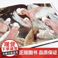 我的奶奶住在古里古怪镇(精)百班千人 葛瑞米·贝斯幻想大师系列(2022年百班千人寒假书单)