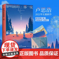 [ 专享明信片]黎明前的那一夜 青年作家卢思浩新书 2021年长篇新作 中国当代小说书书排行榜
