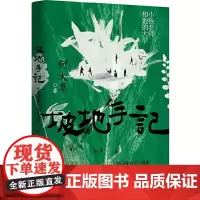 坡地手记:小杨老师和她的大学(《春山》作者何大草长篇新作)