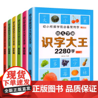 正版童书 幼儿学前识字大王2280字全6册幼儿识字启蒙认字卡片幼儿园认字神器 儿童宝宝看图学字全套启蒙早教书绘本