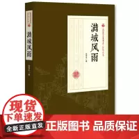 满城风雨(民国通俗小说典藏文库·张恨水卷)