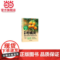 图解柑橘类整形修剪与栽培月历 工业农业技术 农业 机械工业出版社 正版书籍