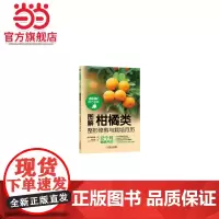 图解柑橘类整形修剪与栽培月历 工业农业技术 农业 机械工业出版社 正版书籍