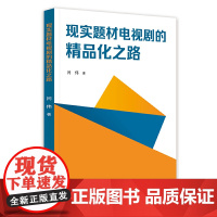 现实题材电视剧的精品化之路