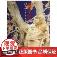 唯美新视觉——柳财顺工笔动物画赏析