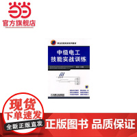 中级电工技能实战训练 工业农业技术 电子电路 机械工业出版社 正版书籍