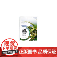 云南改革开放口述史