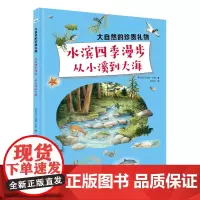 大自然的珍贵礼物—水滨四季漫步——从小溪到大海
