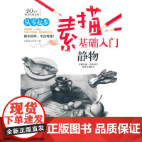 素描基础入门--静物