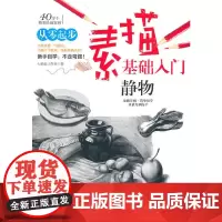 素描基础入门--静物