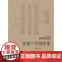 非洲的中国形象—世界的中国形象丛书