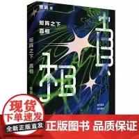 矩阵之下:真相 (咪咕第四届科幻小说奖 水浒传编剧杨争光 《冰与火之歌》翻译胡绍宴、星云奖得主吴霜联袂)