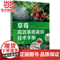 草莓高效基质栽培技术手册 路河 化学工业出版社 正版书籍