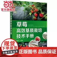 草莓高效基质栽培技术手册 路河 化学工业出版社 正版书籍