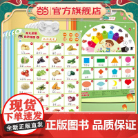 爱德少儿 幼儿启蒙有声挂图英文字母 一点就会读的有声认知书挂图有声早教幼儿童宝宝启蒙认知英文字母墙贴学习神器宝宝早教点读