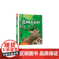 森林大百科——自然观察探索百科系列丛书