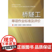 桥隧工单项作业标准及评价