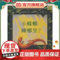 小蝾螈,睡哪里?