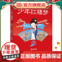 少年红楼梦3