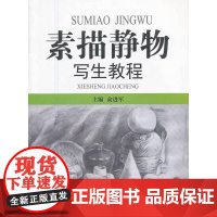 素描静物写生教程(1-3)