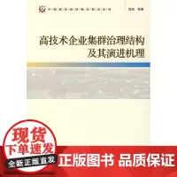 高技术企业集群治理机构及其演进机理