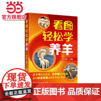 看图轻松学养羊 周玉香 化学工业出版社 正版书籍