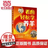 看图轻松学养羊 周玉香 化学工业出版社 正版书籍