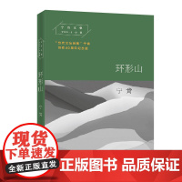 环形山(宁肯文集)