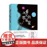 看不见的零等星 吴元锴 上海文艺出版社 正版书籍