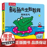 鳄鱼先生教教我:各种天气