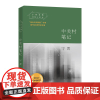 中关村笔记(宁肯文集)